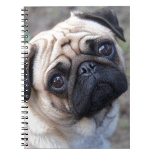 CUADERNO BARRO AMASADO