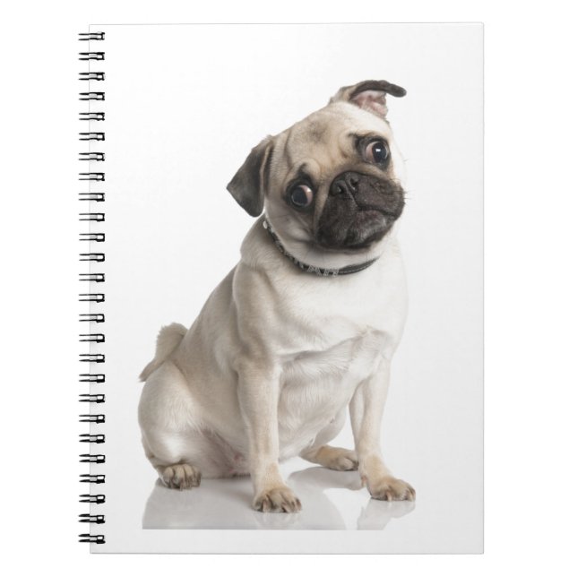 Cuaderno Barro amasado (Frente)