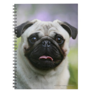 Cuaderno Barro amasado del cervatillo en alarma