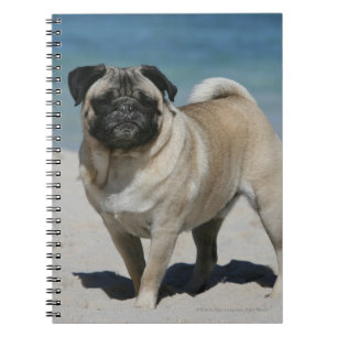 Cuaderno Barro amasado del cervatillo en la playa