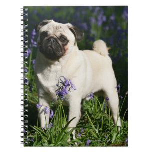 Cuaderno Barro amasado del cervatillo que se coloca en los
