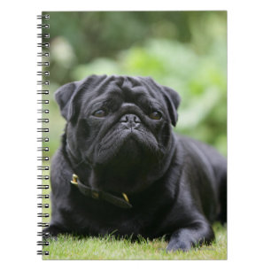 Cuaderno Barro amasado negro que coloca