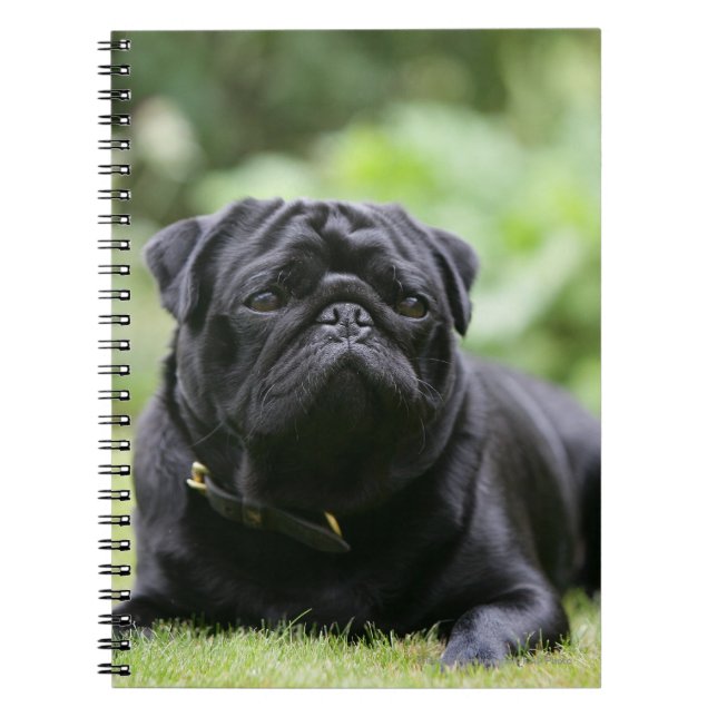 Cuaderno Barro amasado negro que coloca (Frente)