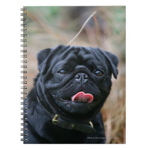 Cuaderno Barro amasado negro que jadea mientras que mira la