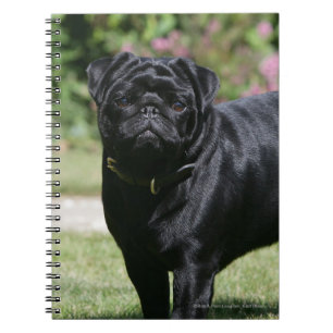 Cuaderno Barro amasado negro que se coloca de mirada de la