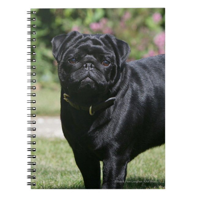 Cuaderno Barro amasado negro que se coloca de mirada de la (Frente)