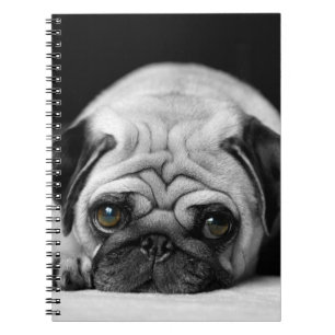 Cuaderno Barro amasado triste