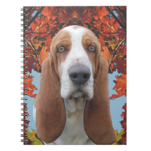 Cuaderno Basset Hound