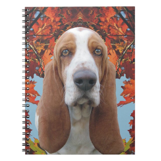 Cuaderno Basset Hound (Frente)