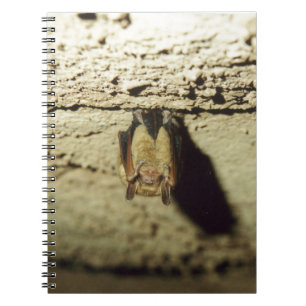 Cuaderno Bat