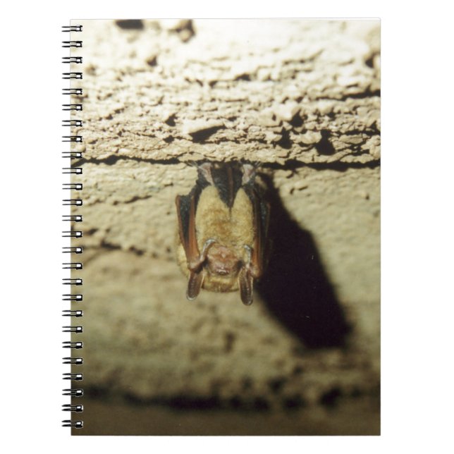 Cuaderno Bat (Frente)
