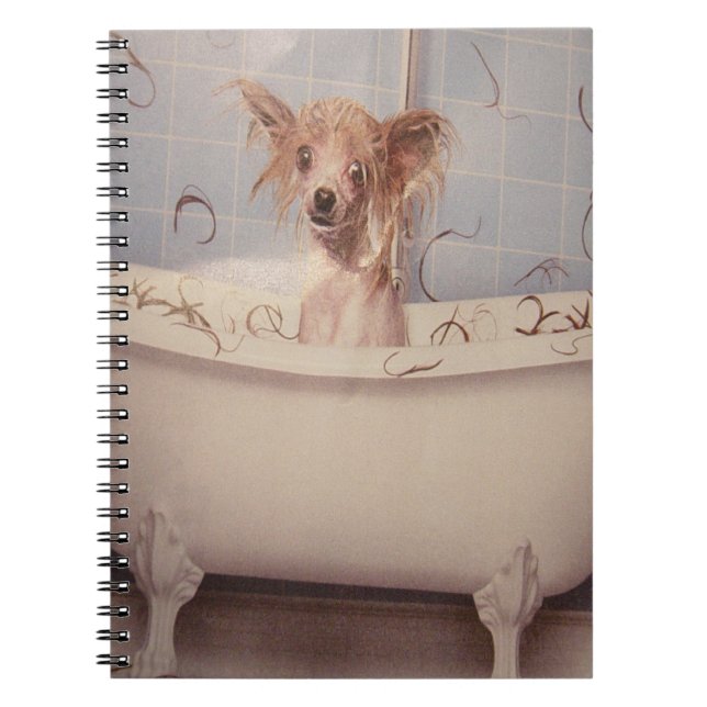 CUADERNO BATHING PUPPY (Frente)