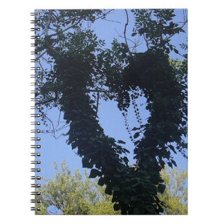 Cuaderno Baumherz
