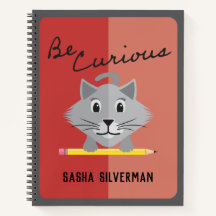 Be Curious Silver Color persa Kitty Sombreado Rosa