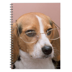 Cuaderno Beagle
