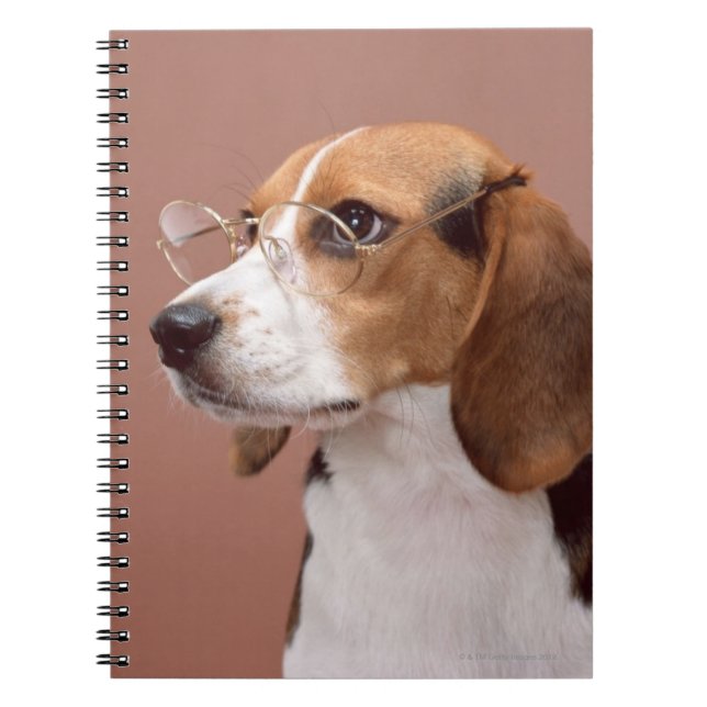 Cuaderno Beagle (Frente)