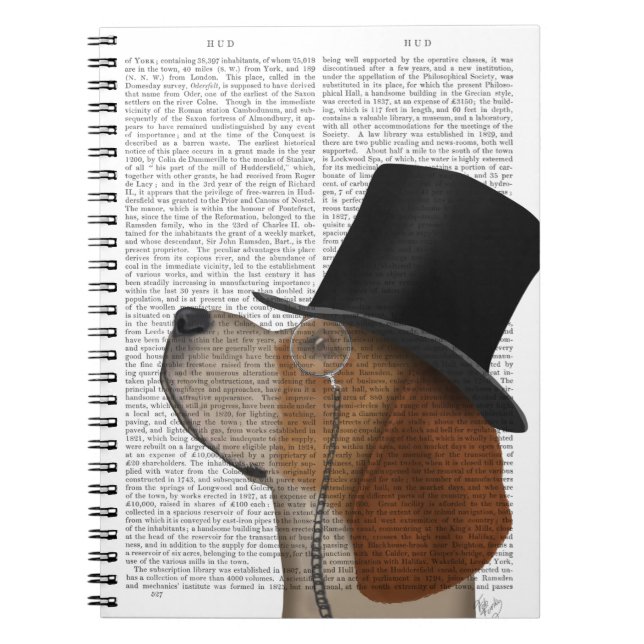 Cuaderno Beagle, hebilla formal y Gorra (Frente)
