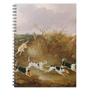 Cuaderno Beagles por completo…, 1845 (aceite en lona)