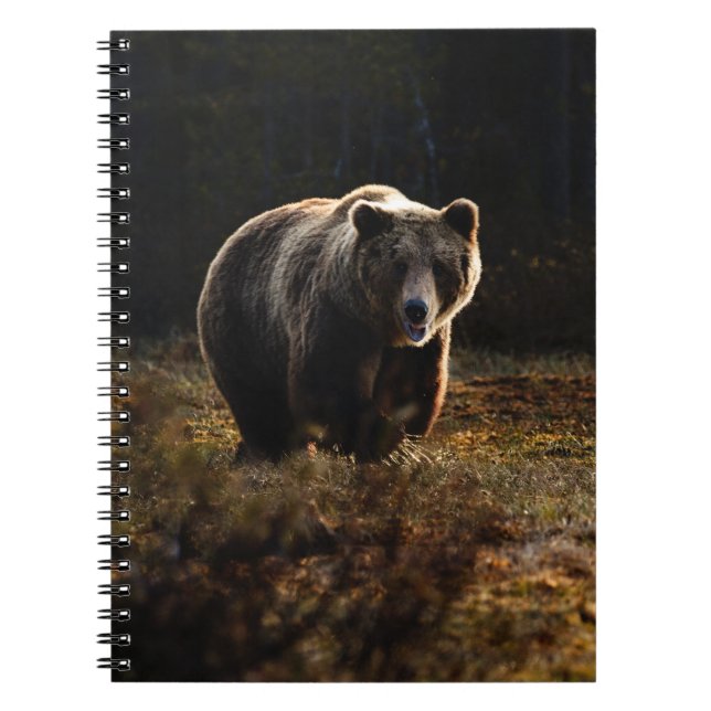 Cuaderno Bear bloc de notas (Frente)