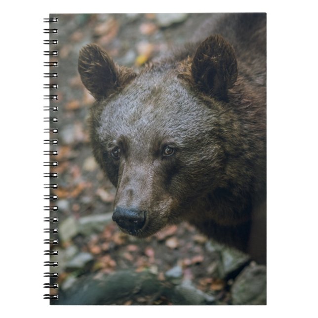 CUADERNO BEARY THOUGHTS (Frente)