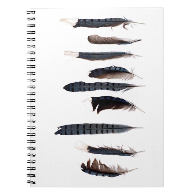 Cuaderno Beautiful Blue Jay Feathers (Frente)