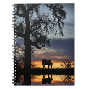 Cuaderno Beautiful  Horse and Water in Sunset