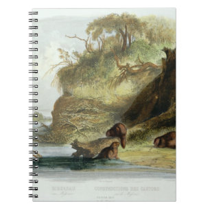 Cuaderno Beaver la choza en el Missouri, platee 17 del