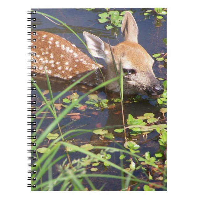 Cuaderno Bebé Deer Notebook (Frente)
