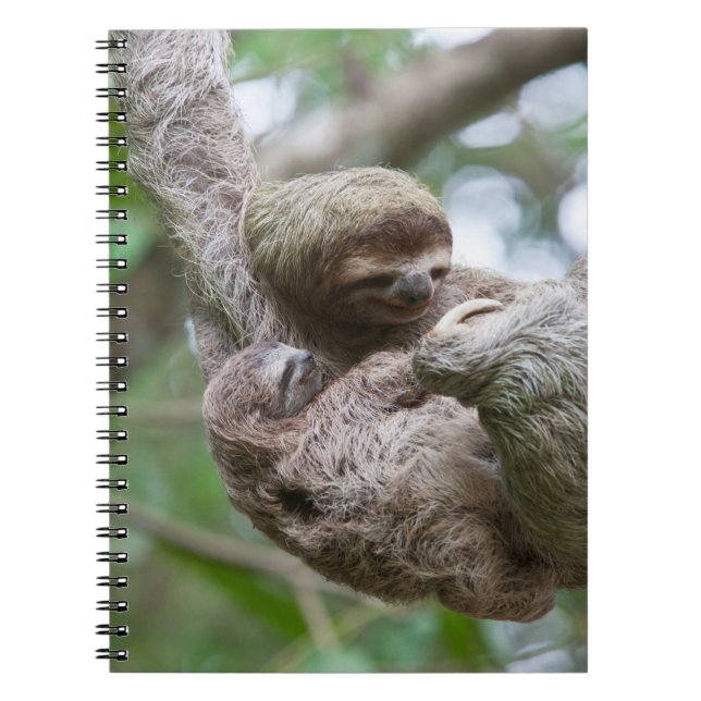Cuaderno Bebé espumoso con madre colgando de un árbol (Frente)