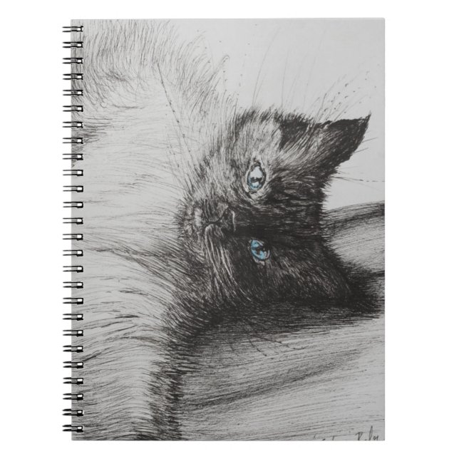 Cuaderno Bebé fresco (Frente)