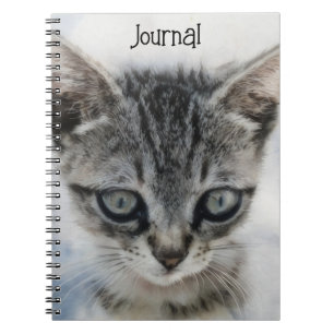 Cuaderno Bebé gato Gato Gato Gato Gato Gato Gato Gato Gatit