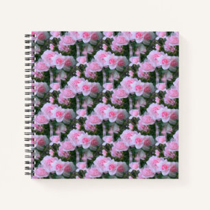 Cuaderno Bebés rosados...