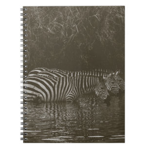 CUADERNO BEBIDA DE LA FAMILIA ZEBRA