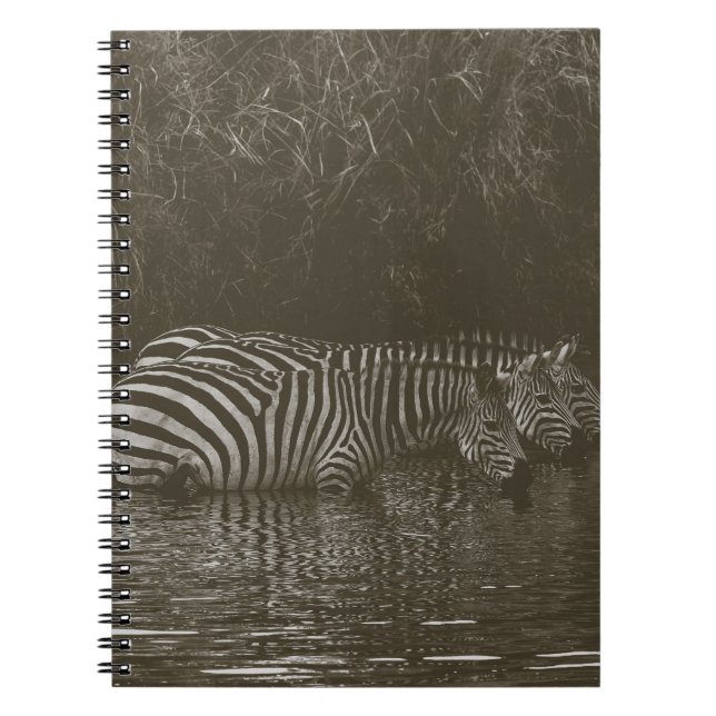 CUADERNO BEBIDA DE LA FAMILIA ZEBRA (Frente)