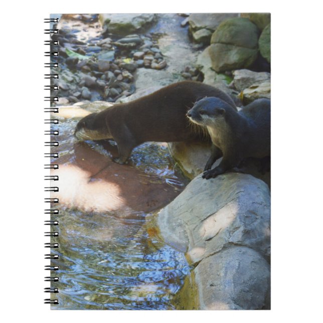 Cuaderno Bebida de nutrientes, portátil (Frente)