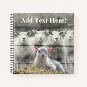 Cuaderno Bebolla de oveja rústica