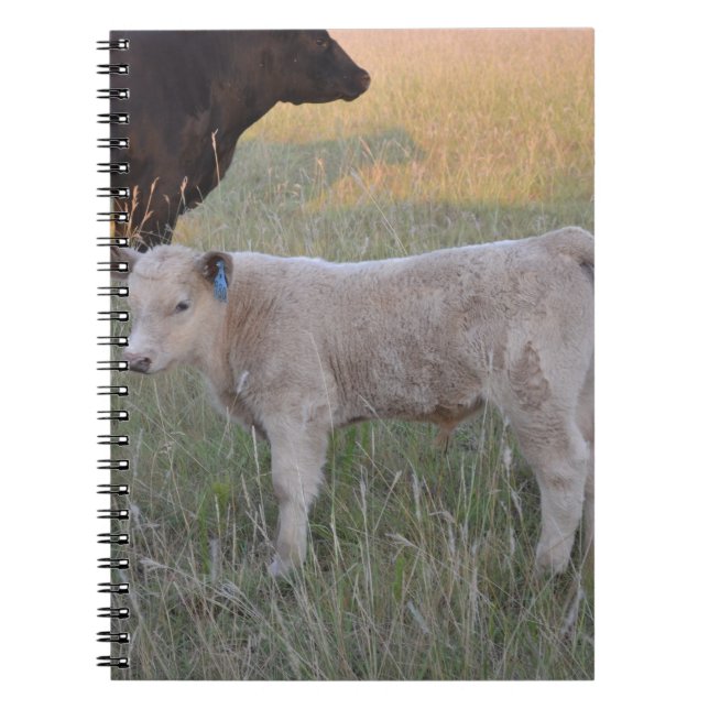 Cuaderno Becerro de Charolais (Frente)
