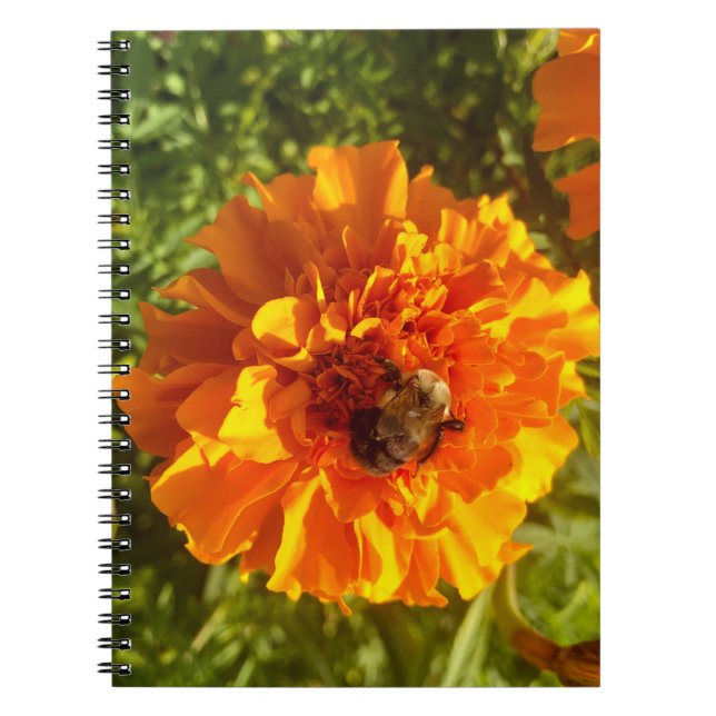 Cuaderno Bee and Blossom (Frente)
