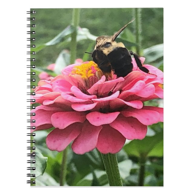 Cuaderno Bee and Blossom (Frente)