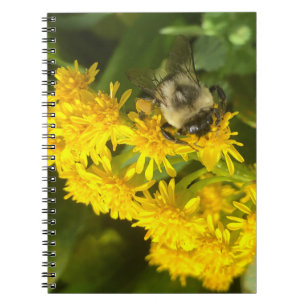 Cuaderno Bee and Blossom