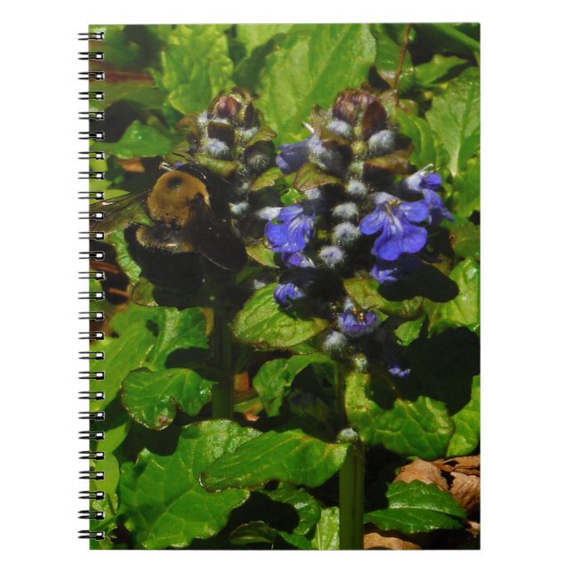 Cuaderno Bee de abejas moradas y abeja de burbujas (Frente)