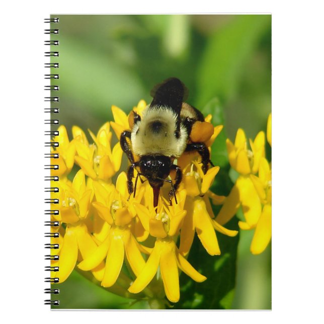 Cuaderno Bee Feasting on Butterfly Weed Wildflowers (Frente)