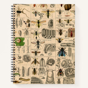Cuaderno Bee Insect Bug Wasp Naturaleza Abejas Pintura