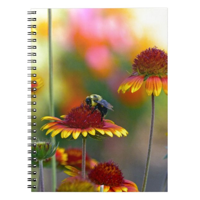 Cuaderno Bee on Gaillardia (Frente)