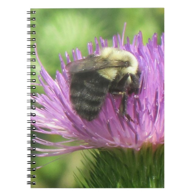 Cuaderno Bee & Thistle (Frente)