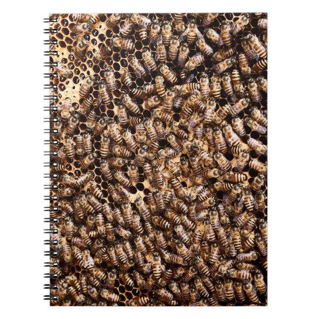 CUADERNO BEEHIVE (Frente)