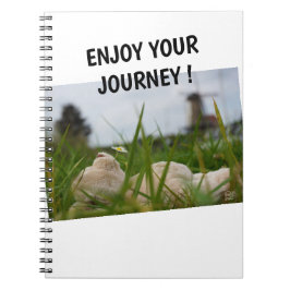 Cuaderno Beer relaxt in natuur met Hollandse molen.