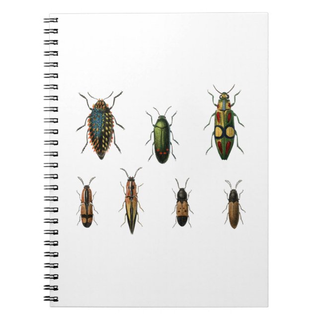CUADERNO BEETLE INSECT VINTAGE BEETLE JEWEL BEETLES VINTAGE (Frente)