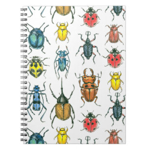 Cuaderno Beetles