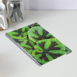 Cuaderno Begonia Cruz de Hierro Floral